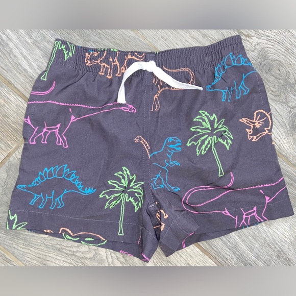 Chubbies Little Kids Classic Swim Trunk - Picture 1 of 4